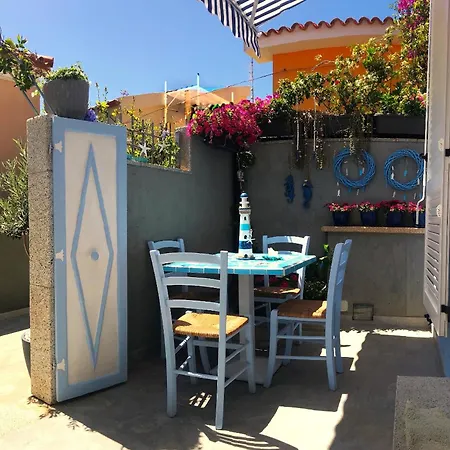 Cavallo Azzurro *